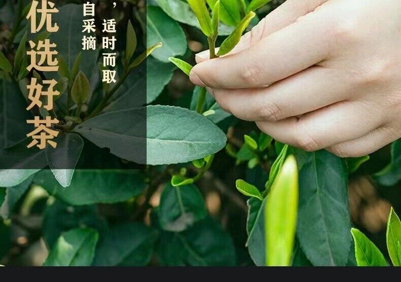 HelloYoung 500g ChenPi White Tea Fuding Old White Tea Longzhu Xinhui Chen Pi Small Tea Cake