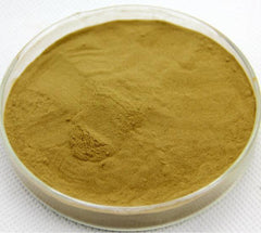 100g Chinese Herb, Natural Health Support Nettle Root Extract Powder 12:1