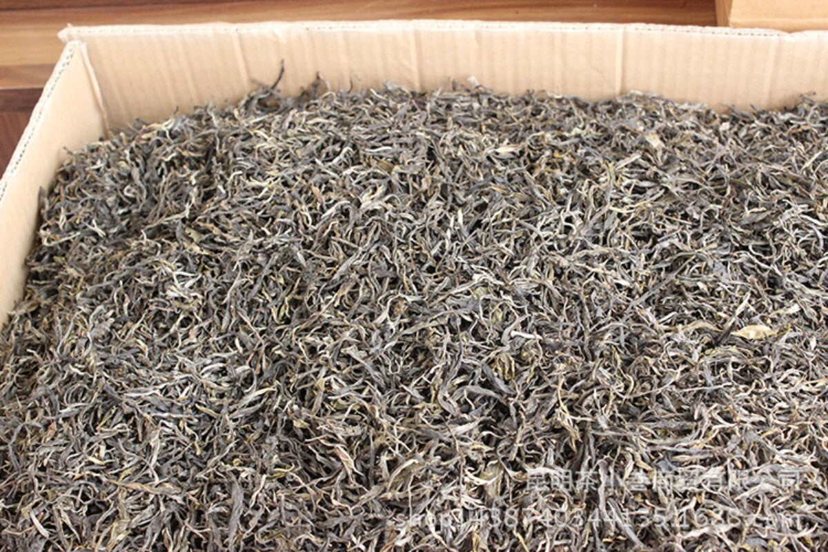 500g Puerh Tea Xiao Long Zhu Mini Tuo Tea Raw Tea Menghai Brown Mountain Puerh