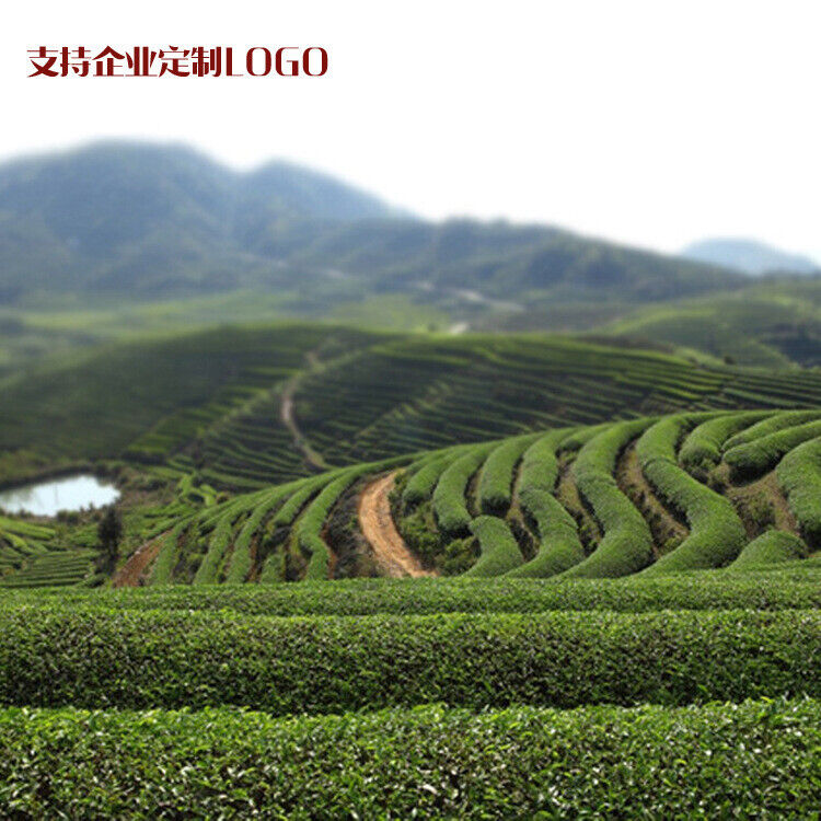 HelloYoung Liubei Jinjunmei Black Tea Honey Aroma Type Wuyishan Tongmuguan New Tea 125g
