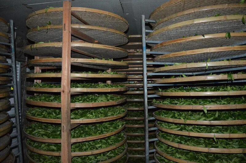 New China Authentic Green Tea Tieguanyin Oolong Tea Natural Organic Health 250g