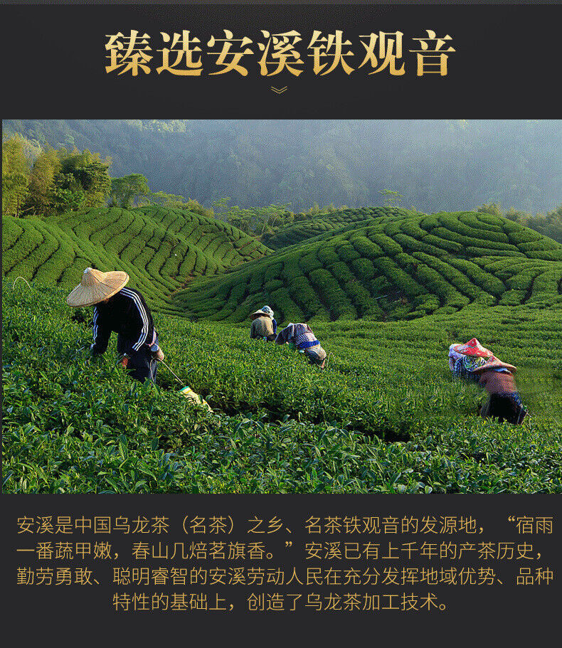 HelloYoung 100g Fujian high mountain oolong tea Anxi Tieguanyin tea orchid scented tin cans