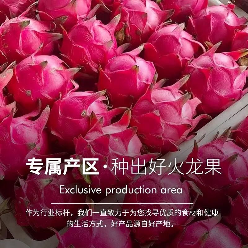 100% Pure Dragon Fruit Powder Vegan Food Coloring for Ice Cream, Baking & Drinks
