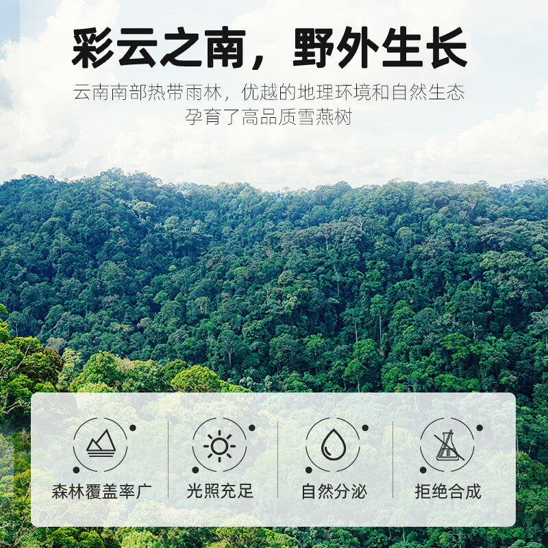 Natural Tragacanth Gum Yunnan Brushed Snow Swallow 35g Canned