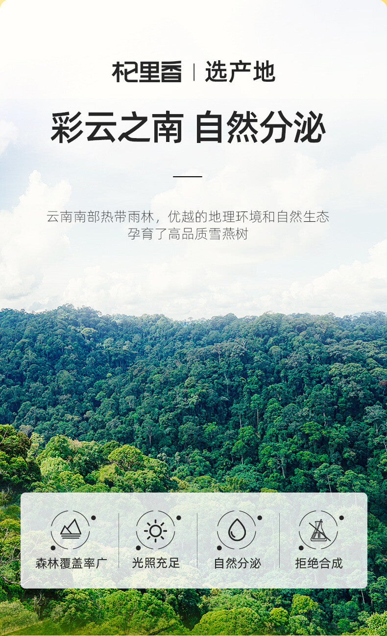 Natural Tragacanth Gum Yunnan Brushed Snow Swallow 35g Canned