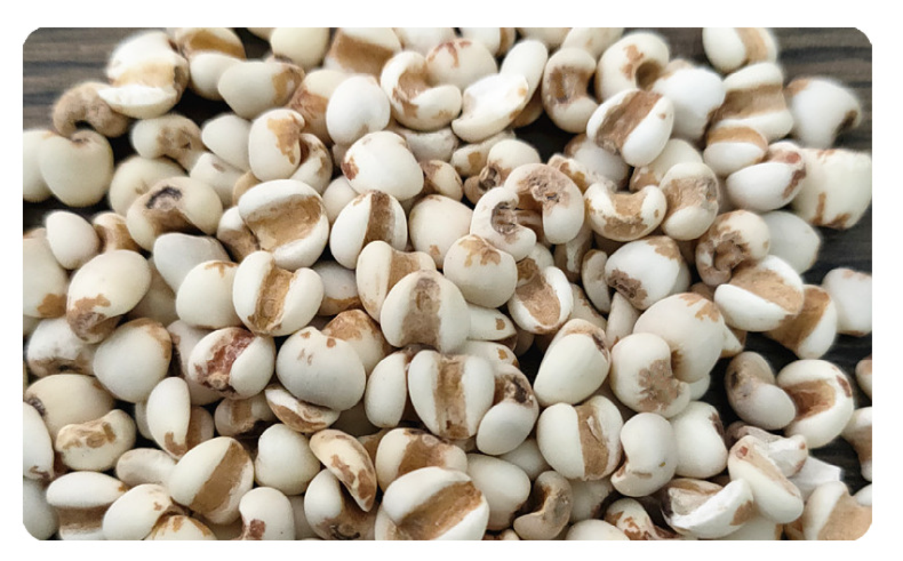 500g Job's Tears Guizhou Job's Tears bulk new powdered Job's Tears flower tea
