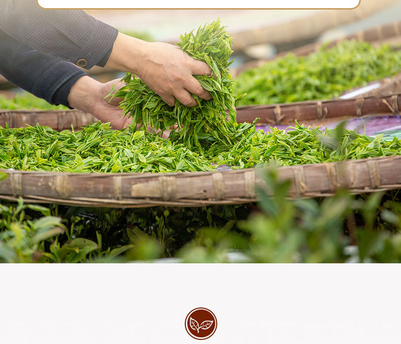High Quality Fuding White Tea Old White Tea Healthy Benefit Gift Tea 88g/box