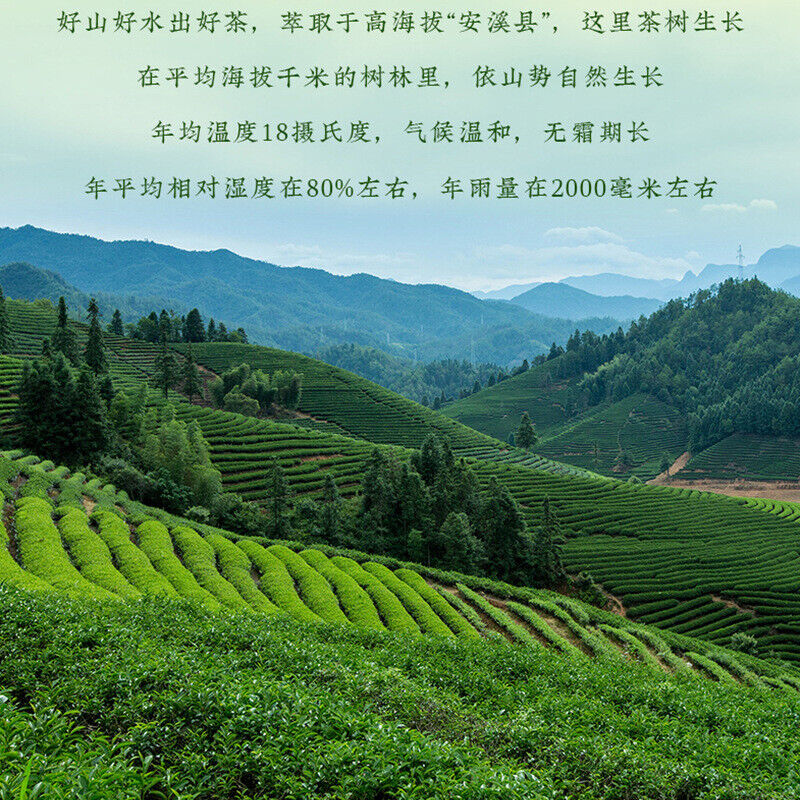Anxi Tieguanyin New Tea Orchid Scent Oolong Tea Spring Tea Fresh Tea Authentic