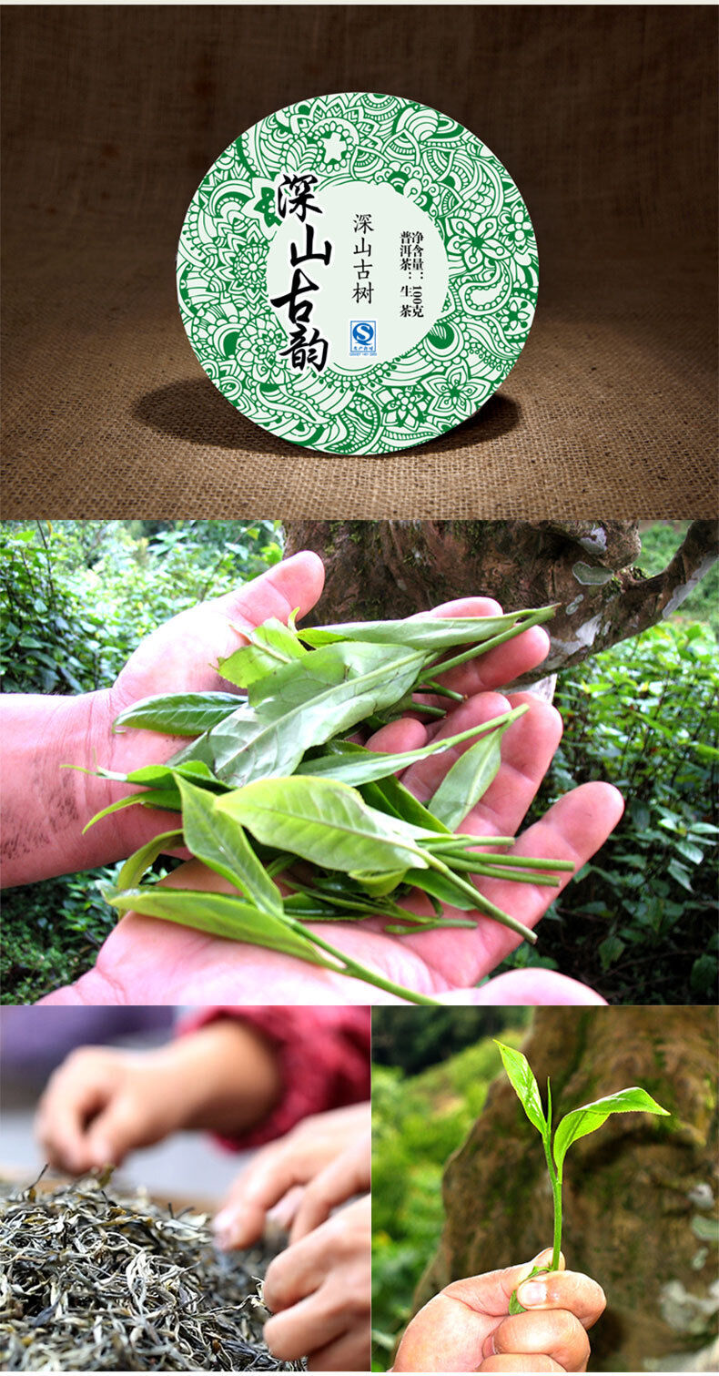 Pu'er Raw Tea Qizibing Jishunhao Raw Tea Deep Mountain Ancient Rhyme 100g