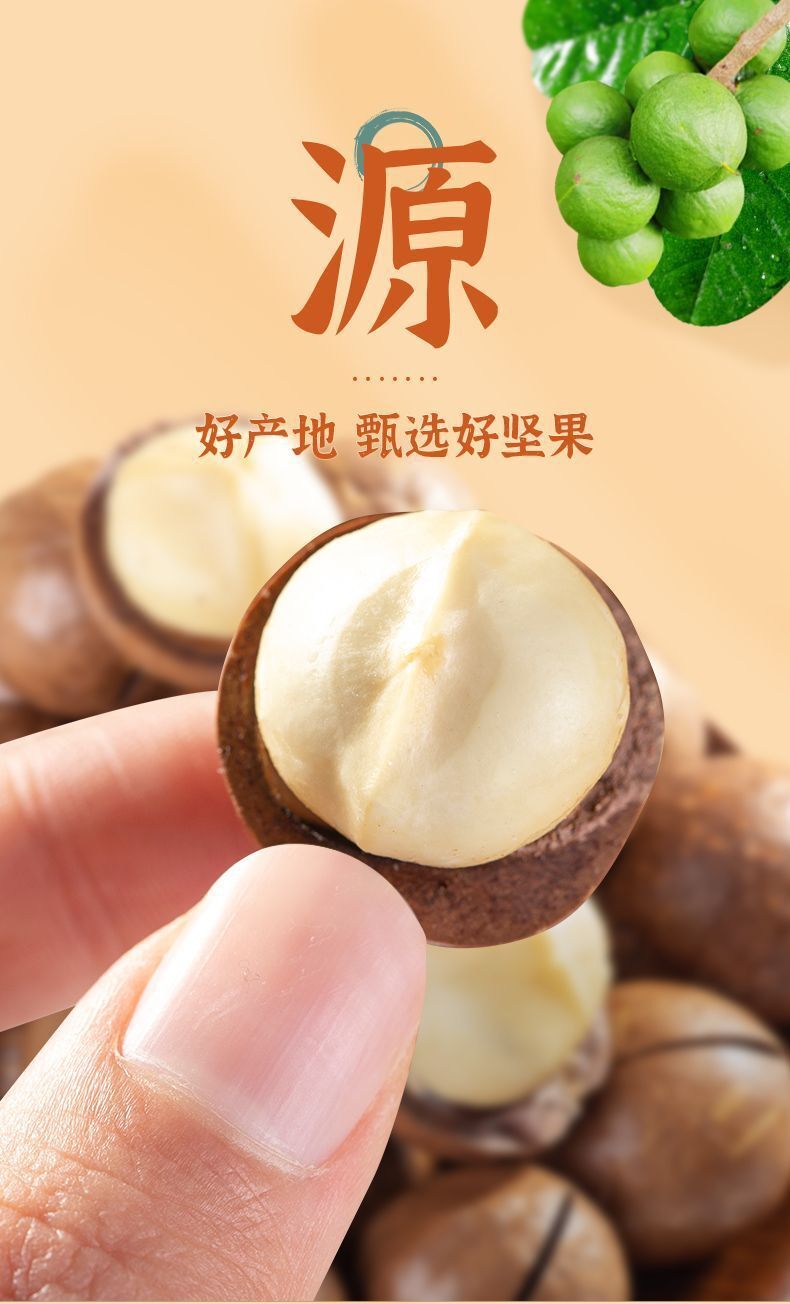 New Macadamia Nuts | Milk Flavor, Large Size, With Shell Opener, Snack
