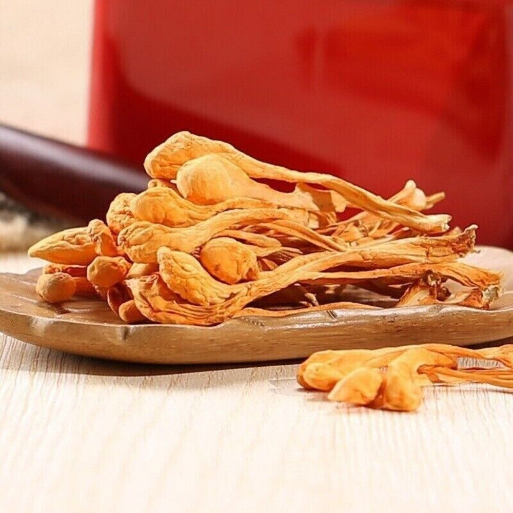 Premium Cordyceps Militaris 250g Dried Natural Healthy Soup Ingredient
