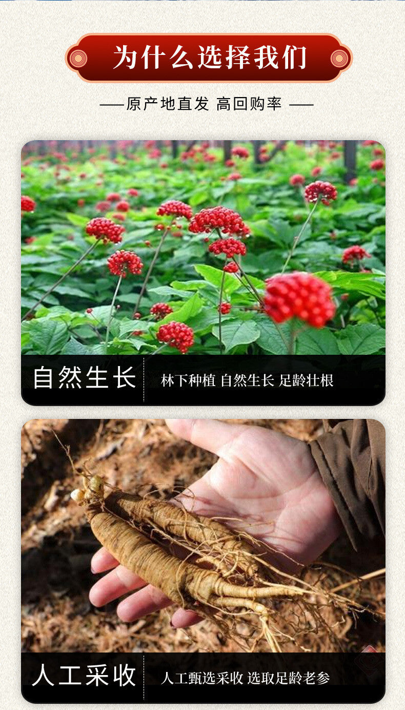 Genuine American Ginseng Powder Ultra-fine Powder Premium Ginseng Herbs 200g