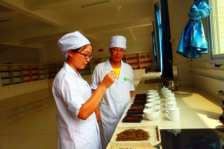 HelloYoungPremium Green Food Jinjunmei Tea Black Tea Organic Jin Jun Mei Tea Kim Chun Mei Red Tea