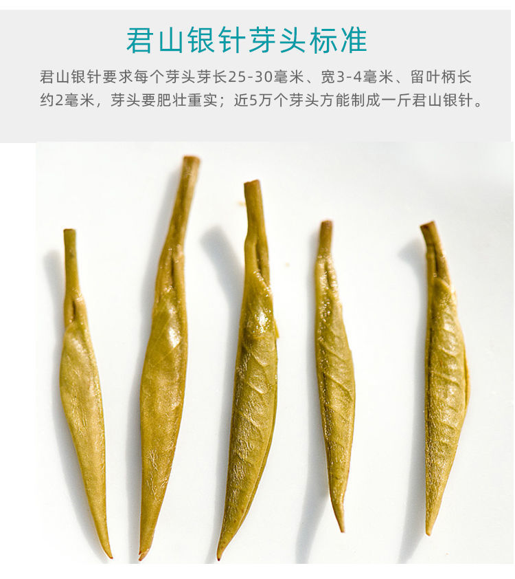 Junshan Silver Needle Pre-ming Dynasty New Tea Yellow Bud Tea Premium Tin 50g