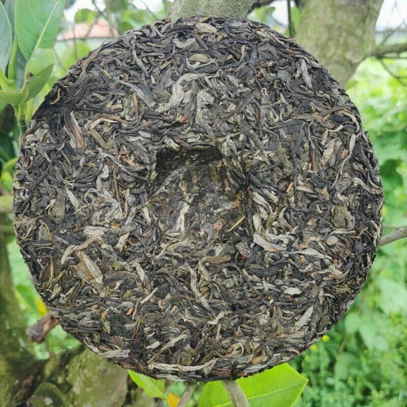357g Brown Mountain Old Tree Pu'er Tea Zhonghong India Laobanzhang Raw Tea