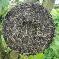 357g Brown Mountain Old Tree Pu'er Tea Zhonghong India Laobanzhang Raw Tea