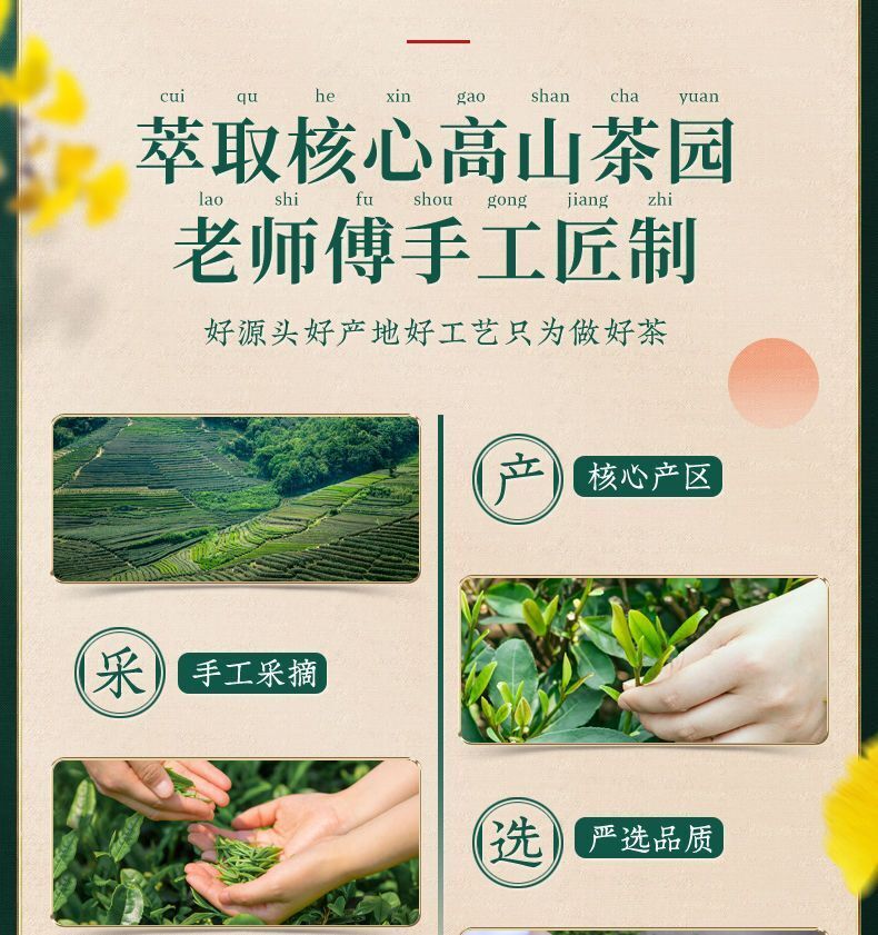 Yunwu Green Tea First Grade Alpine Green Tea Rainy Day Green Tea 250g/8.8oz