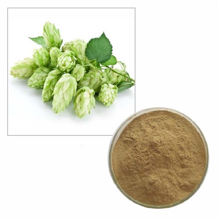 200g 10:1 Humulus Lupulus Hops Natural Organic Hops Strobile Extract Powder