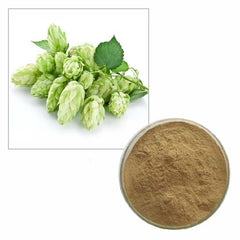 200g 10:1 Humulus Lupulus Hops Natural Organic Hops Strobile Extract Powder