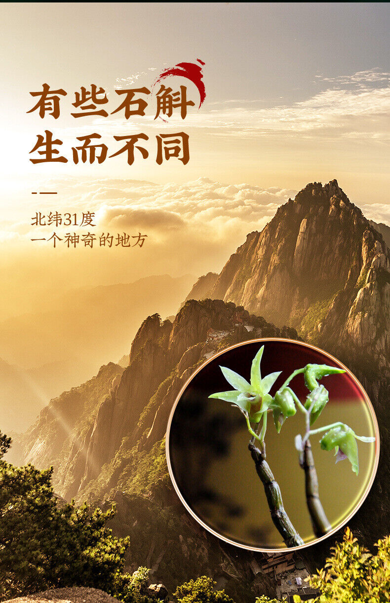 100% Pure Dendrobium Ironbark Powder Dendrobium Officinale Grinding Powder 50g