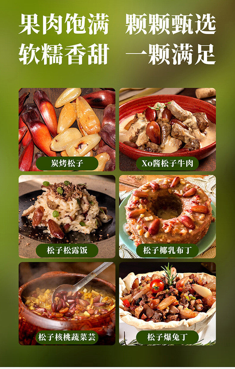 Yunnan Parana Pine Nuts – Hand-Picked Jumbo Shelled