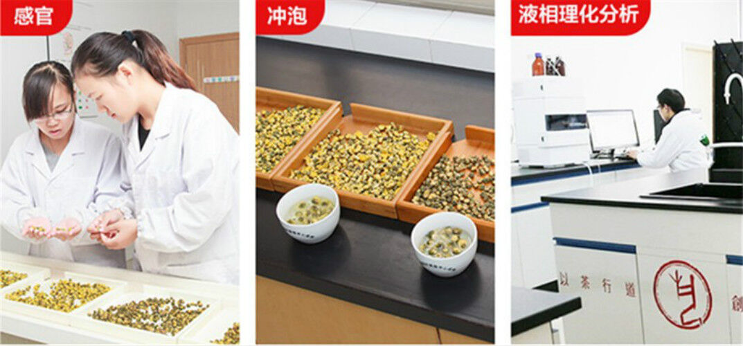 200g Jiaogulan Wild Aescinate Gynostemma Pentaphyllum Herbal Tea Liver Eyesight