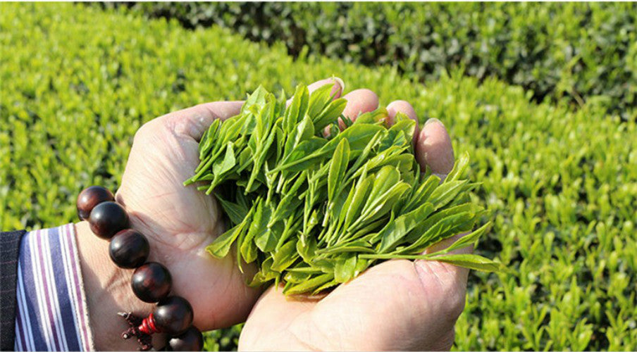 Longjing Green Tea Dragon Well Long Jing Tea Gift Pack Top Grade WestLake Spring
