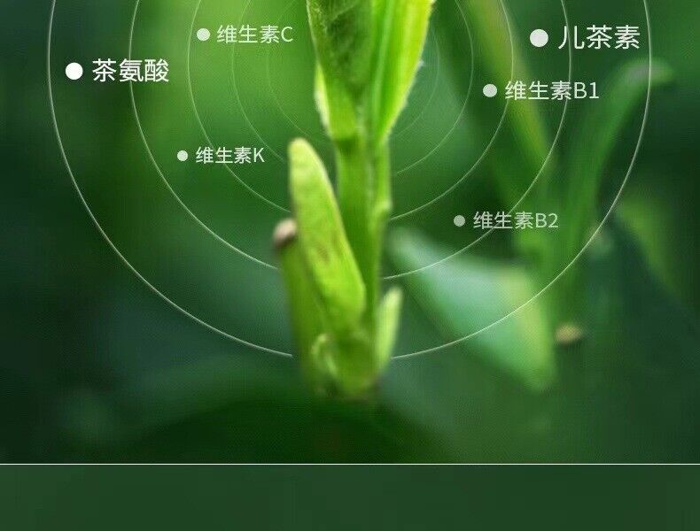 HelloYoung 300g Fuding white tea white peony tribute eyebrow shoumei flower fragrance