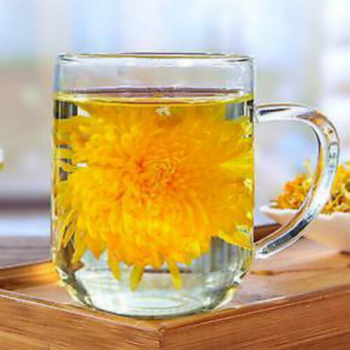 Organic Gold Huang Ju 4 Pcs Large Chrysanthemum Flower Tea Herbal Tea in Summer