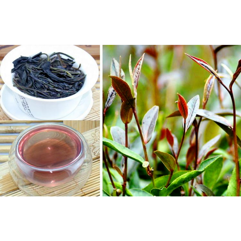 Puerh Zijuan Loose Tea Pu'er Black Tea Weight Loss Healthy Drink 500g