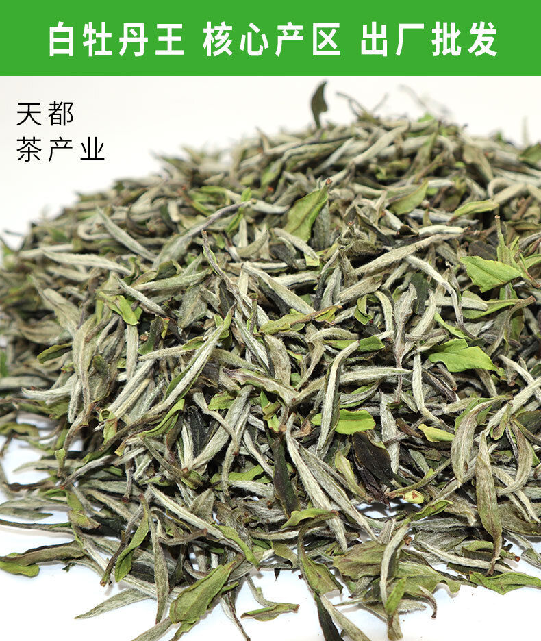 HelloYoung 500g Fuding white tea white peony king loose tea Panxi Ming Qian tea