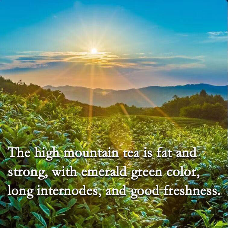 250g High Mountain Tea Jin Xuan Milk Oolong Tea Chinese Taiwan Oolong
