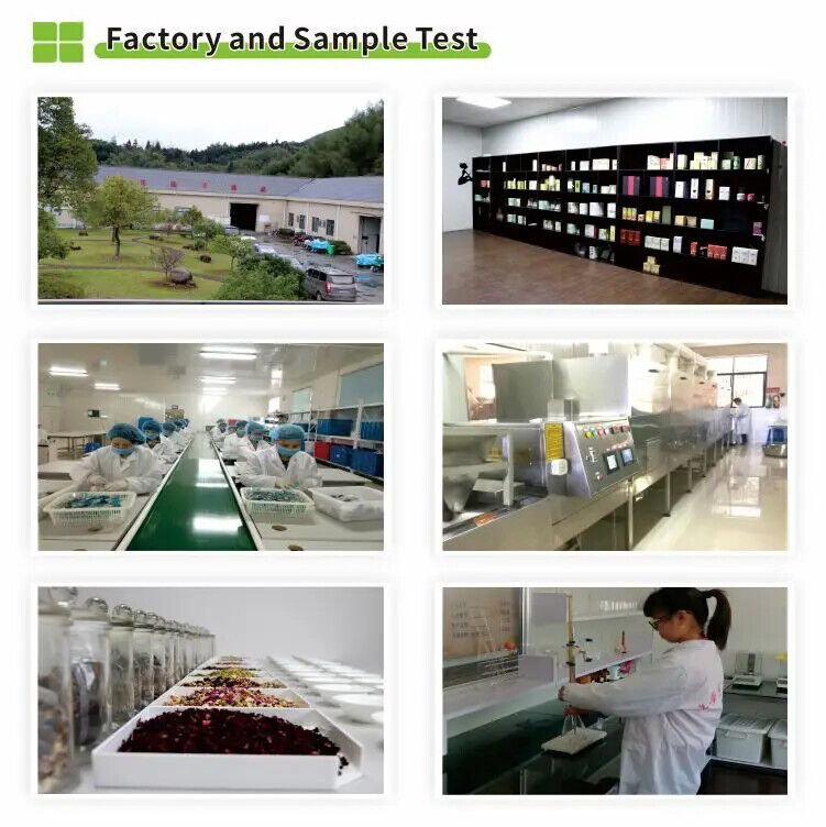 High Recommend Unfermented Puer Yiwu Old Brick 200g with The High Quality