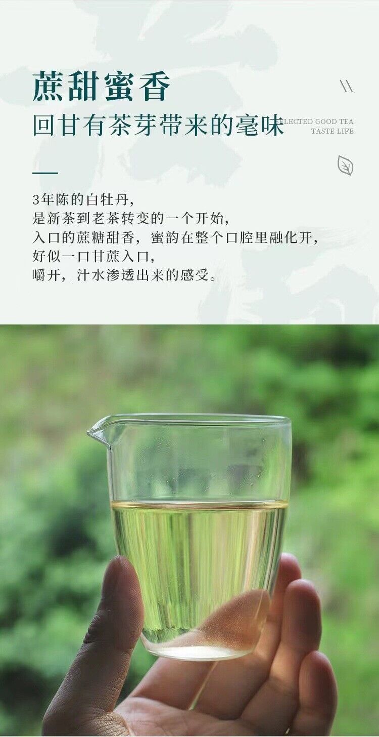 HelloYoung 100g Fuding High Mountain Sunlight White Tea White Peony Tea Cake Floral Aroma