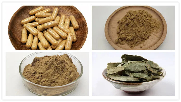 High Quality Epimedium Extract Powder with Free Sample 250g