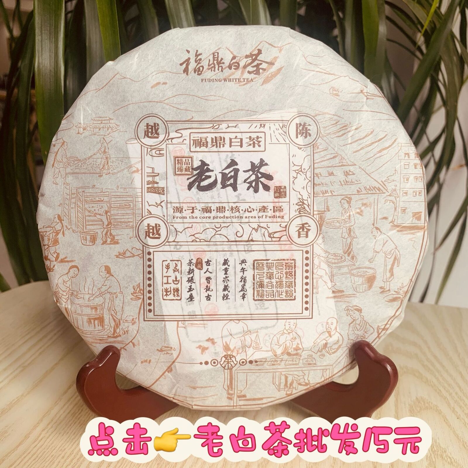 HelloYoung 400g Fuding high mountain white tea Longzhu old white tea Shoumei tea