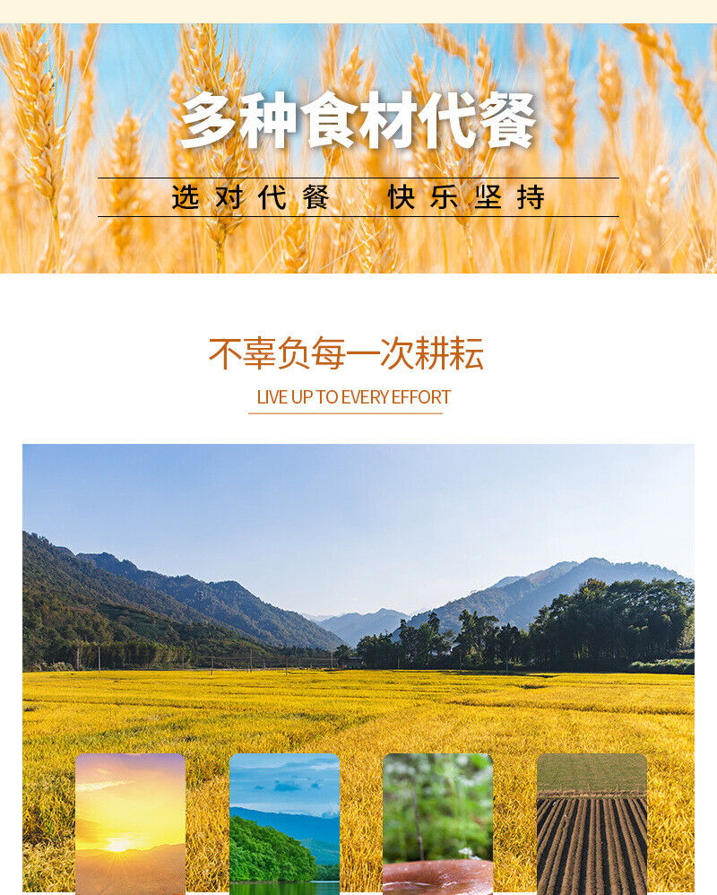 Hundred Grains Peptide Porridge Grains Dietary Fibre Powder