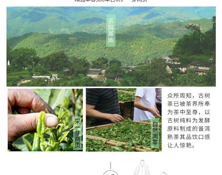 Banzhang Cooked Tea Yunnan Menghai Pu'er Tea Brown Mountain Premium Tea