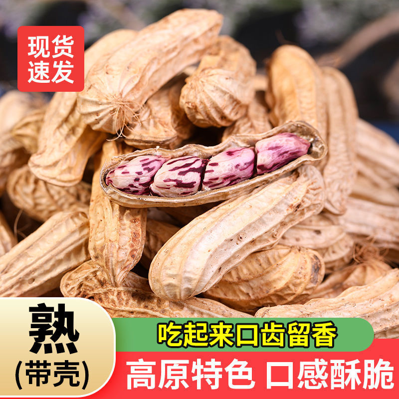 Yunnan Black Peanuts - Shelled & Unshelled Fresh Snack