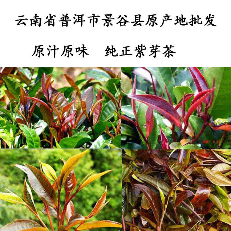 云南 Puerh tea purple bud tea raw tea 357 grams cake spring tea purple tea Jinggu