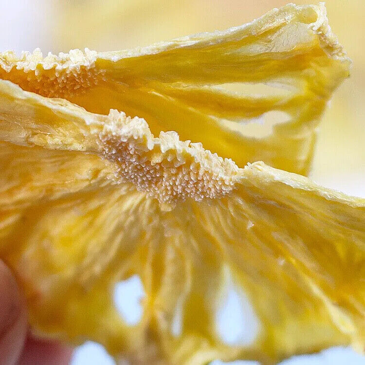 Chinese Flavor Tea Dried Pineapple Slice Natural and Healthy Dried Fruit Tea