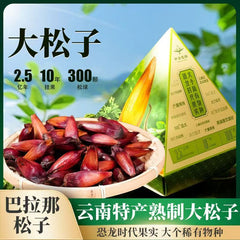 Yunnan Parana Pine Nuts – Hand-Picked Jumbo Shelled