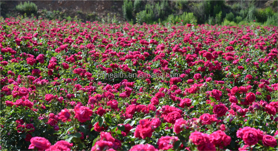 High Grade Rose Buds Tea Organic Tea Dried Flower Petals Sweet Flavored Tea