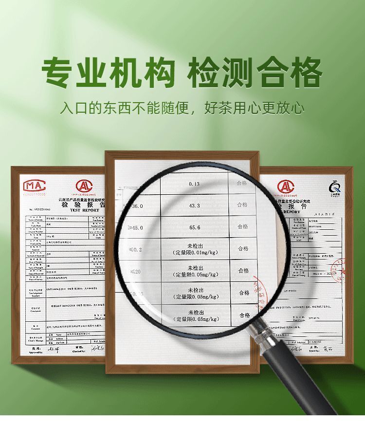 White Hair Silver Needle Premium White Tea Moonlight White Tea Ancient Trees125g