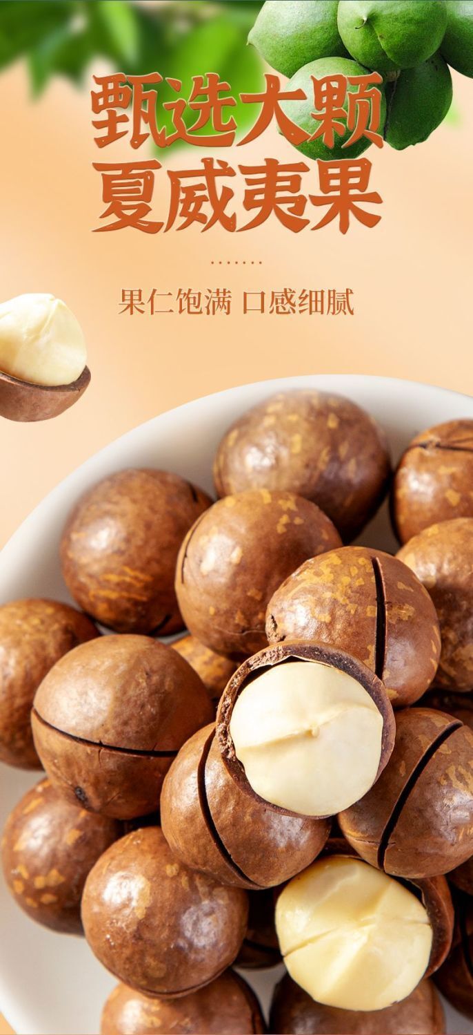 New Macadamia Nuts | Milk Flavor, Large Size, With Shell Opener, Snack