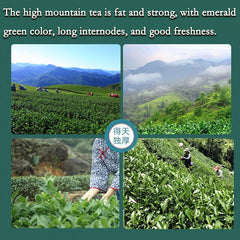 Milk Oolong Tea Premium Loose Leaf Tea Taiwan tea Natural Jin Xuan Oolong Tea