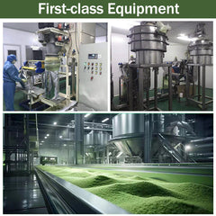 100% Natural AMAZING Barley Grass Powder Organic Healthy Drink