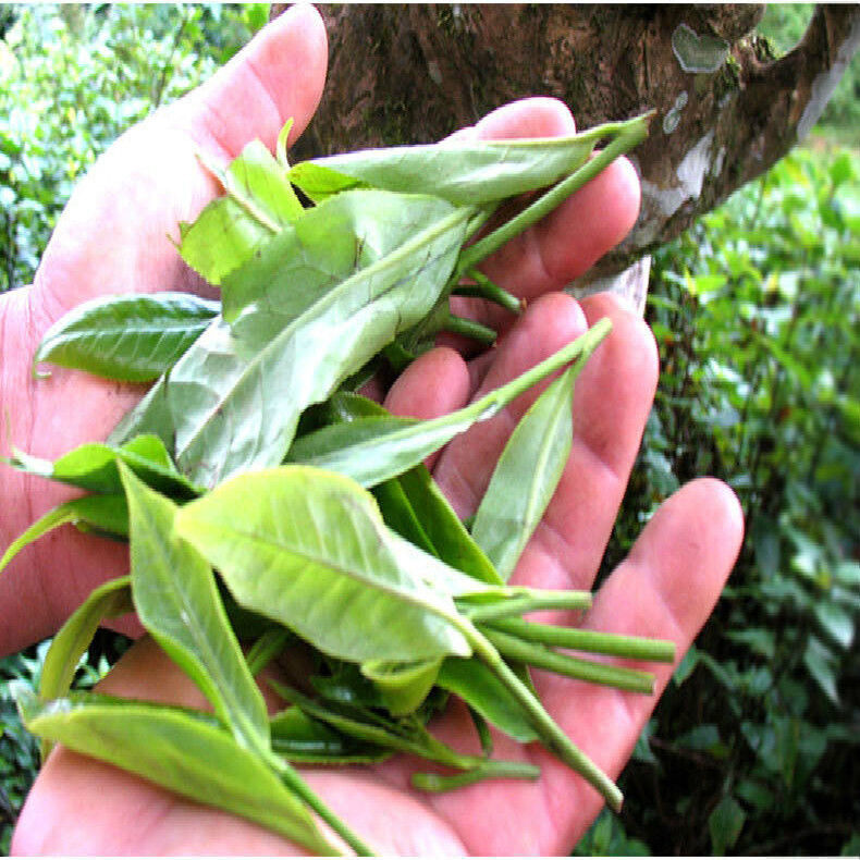 330g Ripe Organic Cooked Puer Tea Shu Pu-erh Tea Factory Direct Green Food Tea 茶