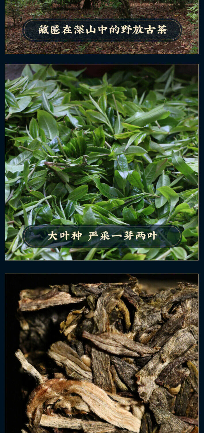 Islande Gold Bar Thé d'arbre ancien Thé Pu'er Thé cru Yunnan Lincang Thé Brique
