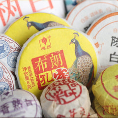 Yunnan Menghai Pu'er Tea 31 Flavors Assorted Set Natural Pure No Additives